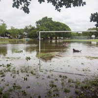 Gregory Park, 28 January 2013.