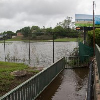 Frew Park, looking from the Western Creek Bridge on Milton Road, 28 January 2013.