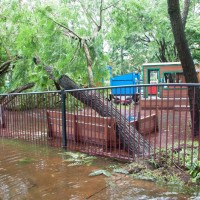 The playground at Milton Park, 28 January 2013.