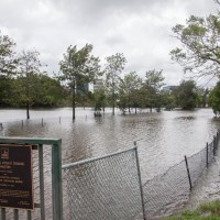 Milton Drain from the Western Creek Bridge, 28 January 2013.