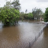 Milton Drain, from the mystery building on Milton Park, 28 January 2013.