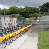 The nest of CityCycles on Roy Street, 28 January 2013.