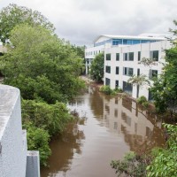 Milton Drain from the back of the John Oxley Centre, 28 January 2013.