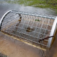 The waters recede from Gregory Park, 28 January 2013.