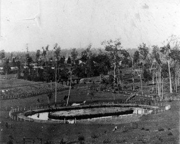 The pond constructed in the grounds of Auchenflower House, 1885. (State Library of Queensland, Neg. no. 150992) 