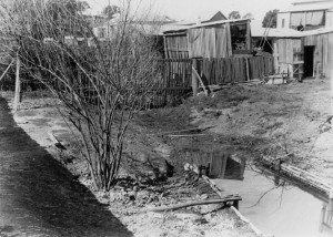 An open drain in a backyard at Ellena Street, c1905. (State Library of Queensland, Image no. 47486)