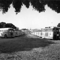 Buses at the CDOP site in 1976. 