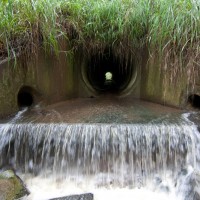 The Tristania Falls, 29 January 2012