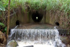 The Tristania Falls, 29 January 2012