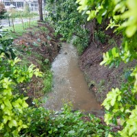 The stream just before it vanishes under Haining Street, 29 January 2012