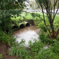 The drain at Norman Buchan Park, 29 January 2012