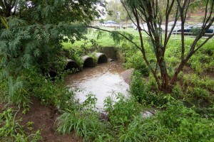 The drain at Norman Buchan Park, 29 January 2012