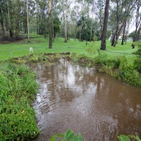 The pond at the bottom of the Fernberg grounds, 29 January 2012