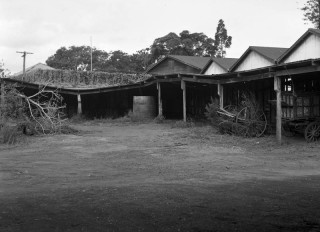 Sheds at the decommissioned sanitary depot in 1949.