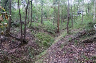 One of the gullies below the 'Treetops on Birdwood' estate.