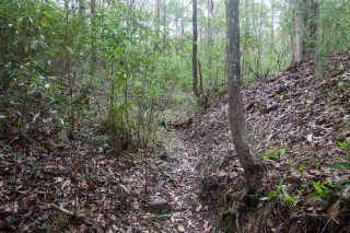 A dry channel at the bottom of a gully between Birdwood Terrace and Mount Coot-tha Road.