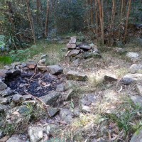 An old campsite by a tributary of Cubberla Creek, Mount Coot-tha