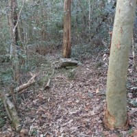 Part of an old campsite by a tributary of Cubberla Creek, Mount Coot-tha. This spot looked a bit like a grave.