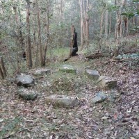 Part of an old campsite by a tributary of Cubberla Creek, Mount Coot-tha.