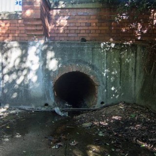 The edge of the cemetery, where the open drain meets the barrel drain under Mount Coot-tha Road.