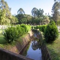 Almost picturesque. The hedges really accentuate the drain's beauty.