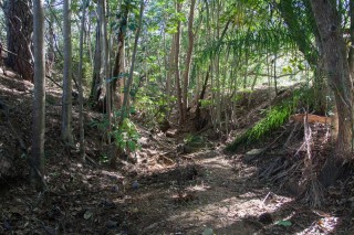 The dry creek bed, looking upstream towards the site of the dam. The bank on the left (south) is steeper and seems more natural than the one on the right (north), which is full of rubble.