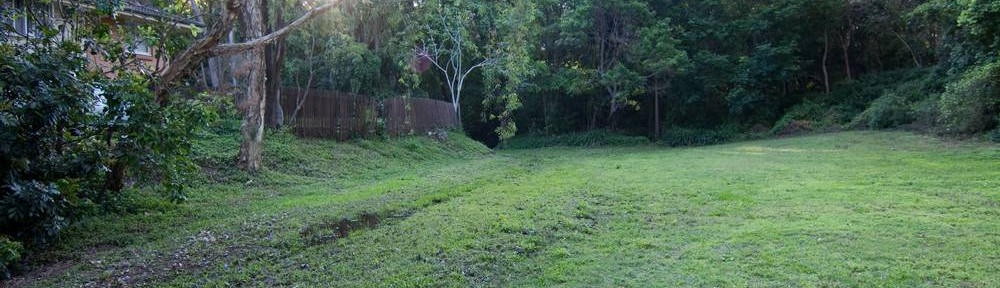 The clearing at the bottom of Couldrey Street