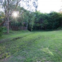 The clearing at the bottom of Couldrey Street