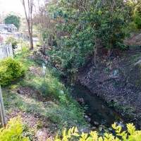 The stream at the bottom of the blocks on Sixth Avenue, flowing towards Haining Street (October 2011)