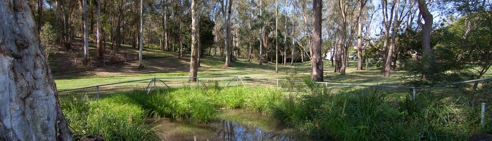 The pond on the Fernberg grounds