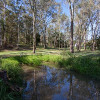 Rehabilitated pond on the Fernberg grounds