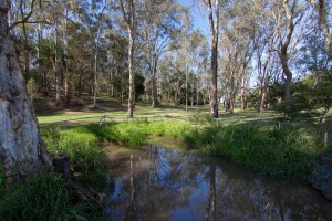 The pond on the Fernberg grounds