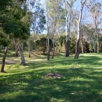 The bottom of the Fernberg grounds near Murruba Street and Baroona Road