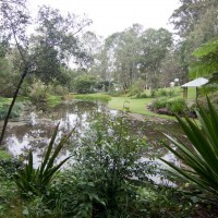 The lower of the two ornamental ponds at Fernberg