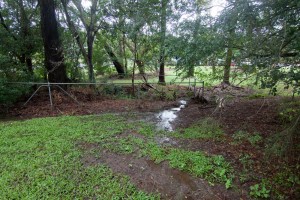 The opening to the culvert that runs under Murraba Street