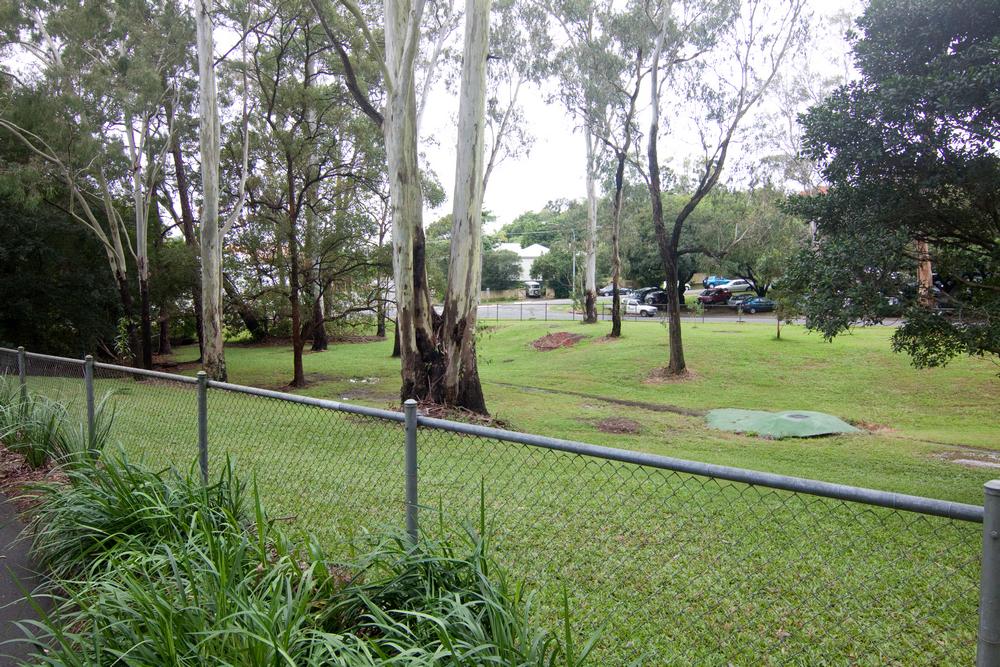 The old horse paddock at the bottom of the Fernberg grounds. The stormwater pipe can be seen running through the middle.