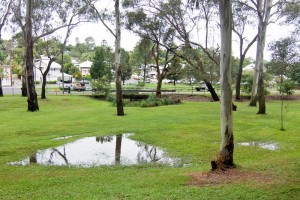 The natural pond at the bottom of the fernberg grounds. (The pond is in the distance; that's just a puddle in the foreground!)