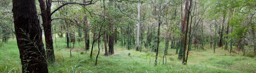 Somewhere in the south-west corner of the Fernberg grounds