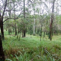 Somewhere in the south-west corner of the Fernberg grounds