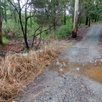 A low-lying path on the western side of the Fernberg grounds