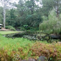 The lower of the two ornamental ponds at Fernberg