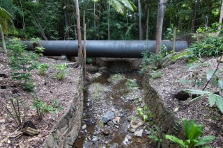 The stream closest to Mount Coot-tha Road intersects with the water pipeline that runs (I think) from Enoggera to Taringa.