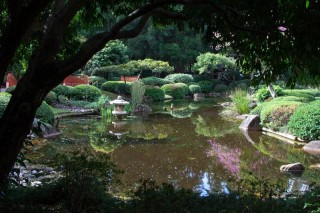 A pond in the Japanese Gardens.