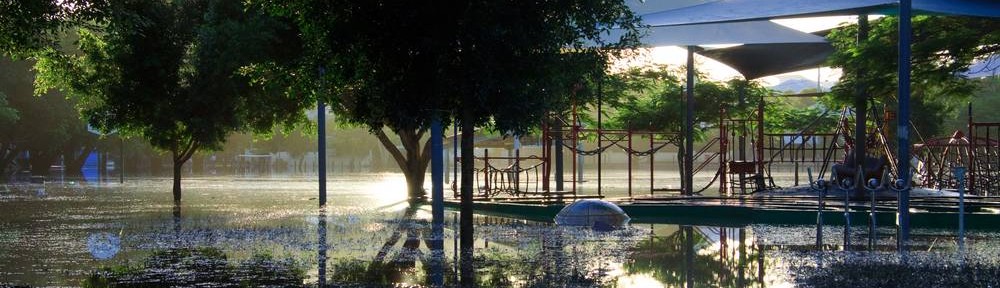 Gregory Park in flood, 14 January 2011