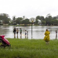 Gregrory Park starts to fill (January 11, 2011)