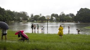 Gregrory Park starts to fill (January 11, 2011)