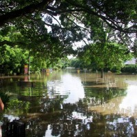 Haig Road during the 2011 flood