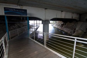 The mouth of Western Creek viewed from the boardwalk under Coronation Drive