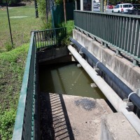 An opening to Milton Drain on the Frew Park side of Milton Road