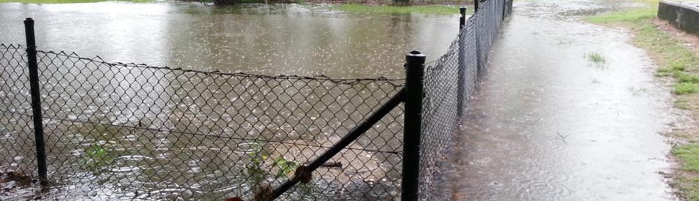 Milton Drain, 27 January 2013.